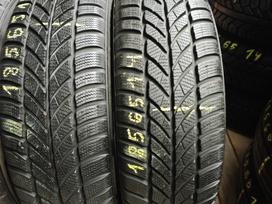 Maxxis ARCTICTREKKER, all-season 185/65 R14