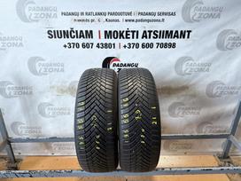 Continental AllSeasonContact, universalios 195/55 R16