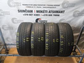 Continental Winter contact ts850p SSR, žieminės 225/45 R18