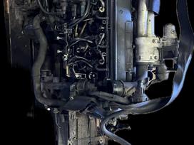 Renault Grand Scenic, K9K674 - 1.5L 63kW, детали двигателя