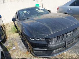 Ford Mustang, 2.3 l., kupė (coupe)