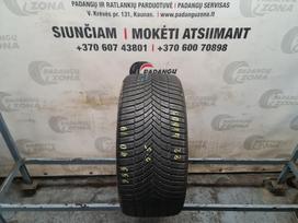 Bridgestone A005 evo, universalios 255/40 R19