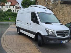 Mercedes-Benz Sprinter, Грузовые микроавтобусы