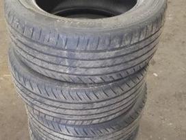 Autogrip P308 Plius, summer 225/55 R16
