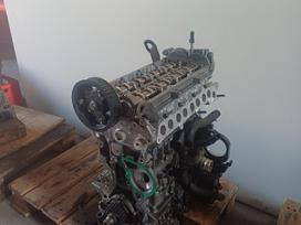 Hyundai Kona, D4FE, engine