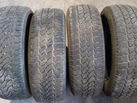 Riken Cargo winter, winter 215/65 R16