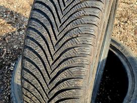 Michelin Alpin 5, universalios 195/55 R20