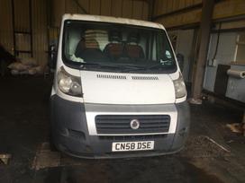 Fiat Ducato, cargo vans