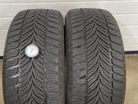 Sava Eskimo HP, зимние 225/50 R17