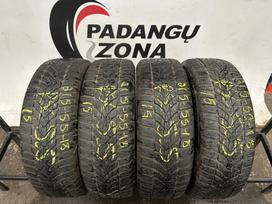 Dunlop Winter Sport 5 Suv, зимние 215/55 R18