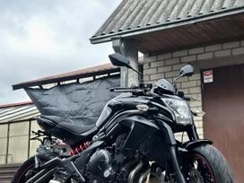 Kawasaki ER 650cc, ielas motocikls