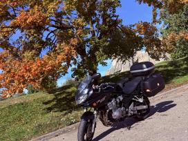 Suzuki Gsf (Bandit) 600cc, touring / sport