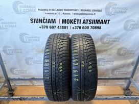 Hankook Winter i cept evo2 SUV, žieminės 215/65 R17