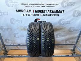 Semperit Allseason-grip, universalios 205/55 R16