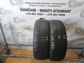 Falken Euro All season As 210, žieminės 225/60 R17