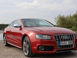 Audi S5, 4.2 l., kupė (coupe)