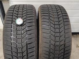 Sava Eskimo HP2, winter 225/55 R16