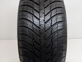 Nexen N-Blue 4Season 2024m, всесезонные 195/50 R15