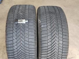Bridgestone Weather Control A005 EVO, всесезонные 225/40 R18