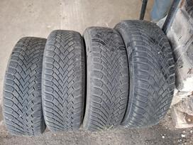 Continental, winter 195/65 R15
