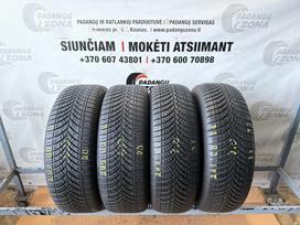 Goodyear Dvi 2025, dvi 2020, universalios 205/60 R16