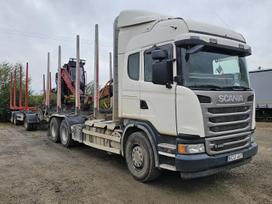 Scania G440, timber trucks
