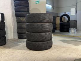 Falken EUROWINTER HS01 SUV XL 2021, зимние 235/70 R17