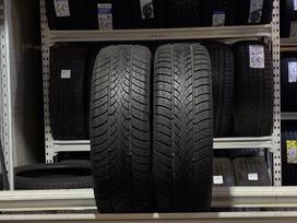 Triangle WinterX TW401, зимние 205/55 R17