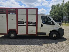 Peugeot Boxer 2,2 l, скотовозы