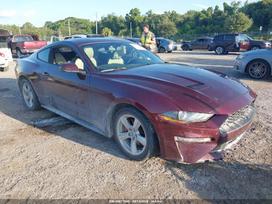 Ford Mustang, 2.3 l., coupe