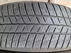 Barum Polaris 5, winter 215/65 R16