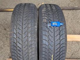 Sava Eskimo S3 +, winter 205/55 R17