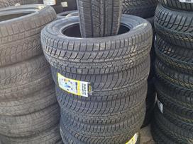 Austone, žieminės 175/65 R15