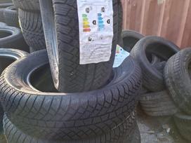 Sunny, žieminės 175/65 R14