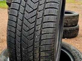 Pirelli Winter Scorpion MO, зимние 275/50 R20