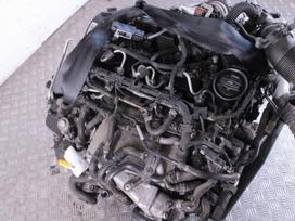 Volkswagen Golf, CXX, Variklis cxx