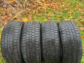 Sunny, žieminės 225/50 R17