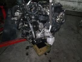 Mercedes-Benz E klasė, A6510902780 a6511530094 a6519060200 722646, A6510903542 a0061535028 a6510900437 a6510901101 a6510900048