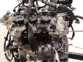 Maserati Mc20, Nettuno, Nettuno90, 10027964,