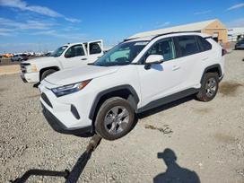 Toyota RAV4, 2.5 l., Внедорожник / Кроссовер