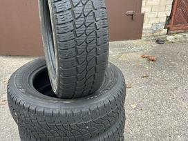 Kormoran, winter 215/65 R16