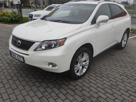 Lexus RX 450h, 3.5 l., visurgājējs / krosovers