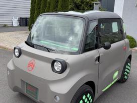 Citroen Ami, Минивэн