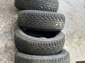 Taurus Winter, winter 205/55 R16