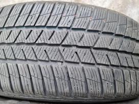 Barum Polaris 5, žieminės 225/50 R17