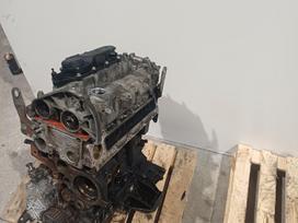 Iveco Daily, F1AGL411B.  F, двигатель
