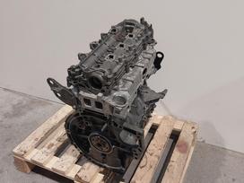 Opel Vivaro, D15DT.     YHY, двигатель