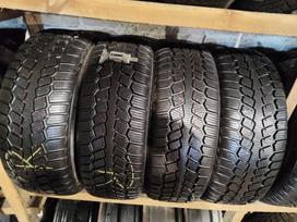 Sava, зимние 205/55 R16