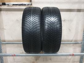 Nokian WR Snowproof P, žieminės 225/55 R17