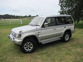 Mitsubishi Pajero Autodalys taip pat perkame automobilius ardymui